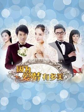 因为爱情有多美DVD 第51集