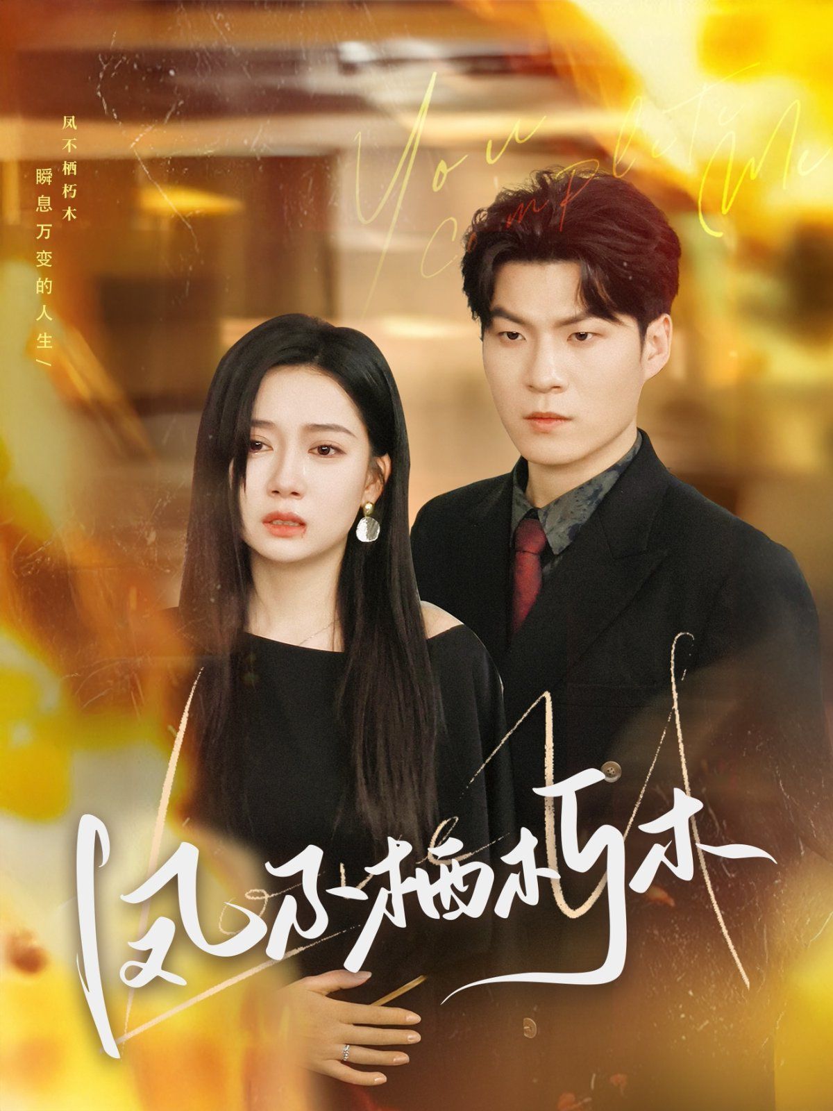 凤不栖朽木 第21-40集