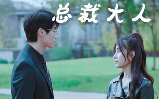 我的总裁大人 第1-20集