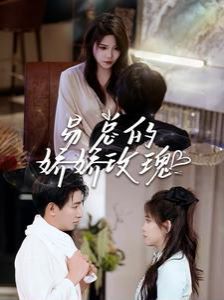 易总的娇娇玫瑰 第61-80集