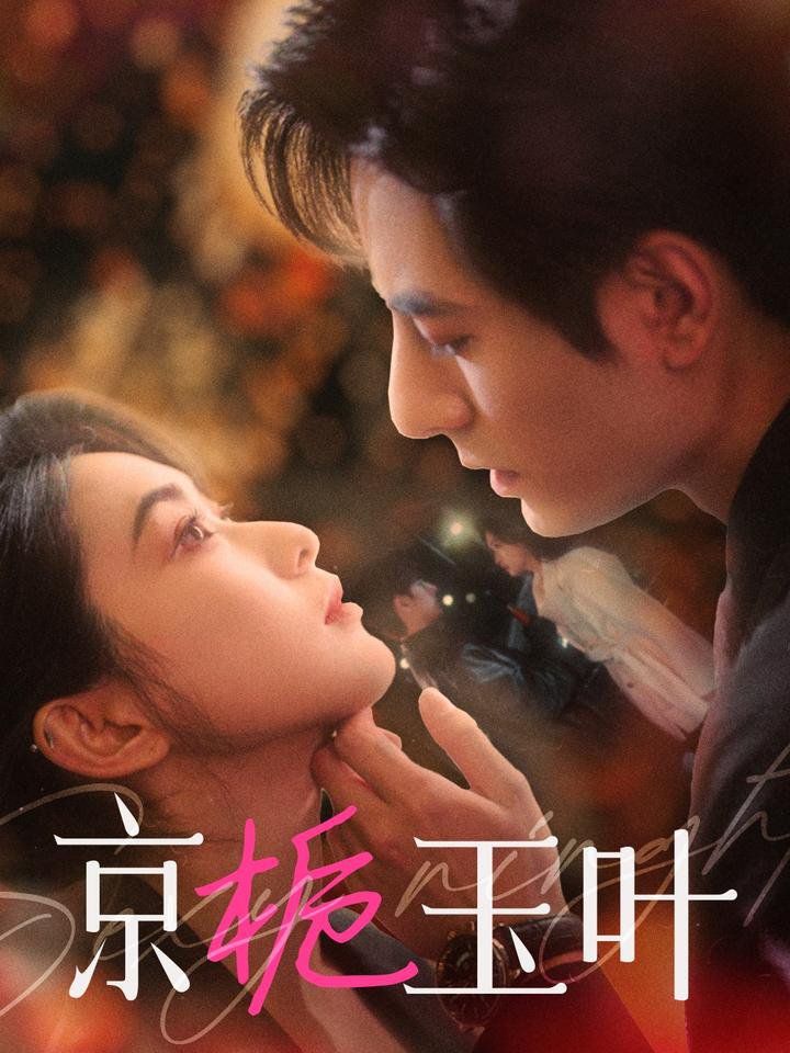 京栀玉叶 第41-60集