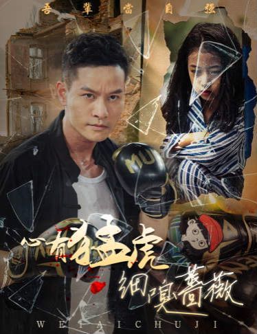 心有猛虎细嗅蔷薇 第61-65集完结(大结局)