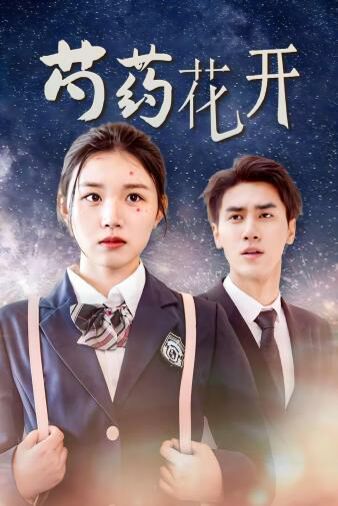 芍药花开（火光中的芍药花） 第41-60集