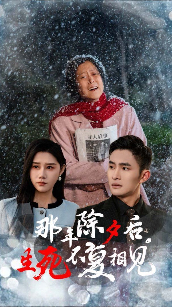 那年除夕后生死不复相见 第21-48集完结(大结局)