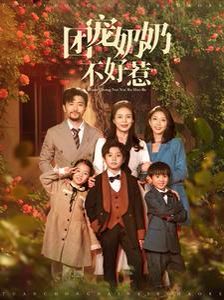 团宠奶奶不好惹 第21-40集