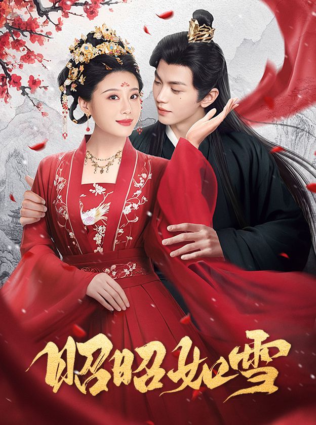 昭昭如雪 第1-20集