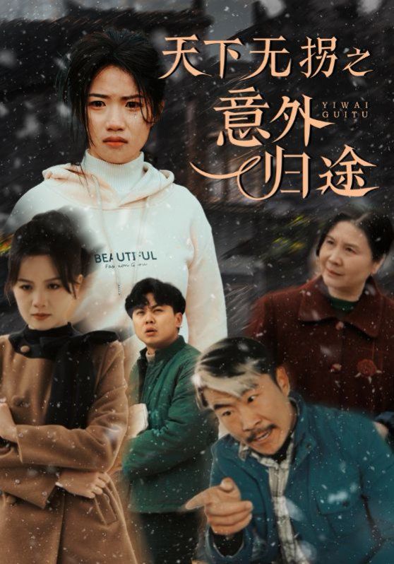 天下无拐之意外归途 第31-61集完结(大结局)