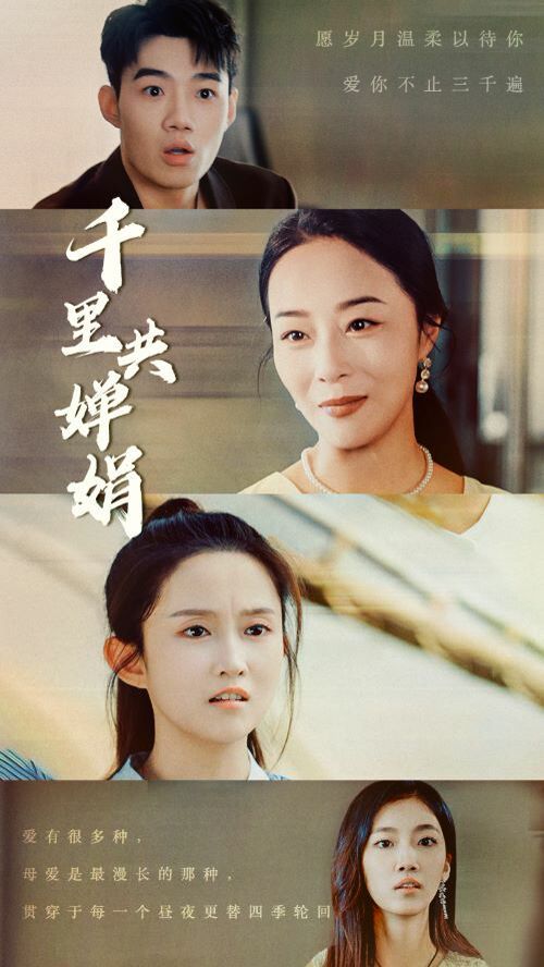 千里共婵娟 第1-20集