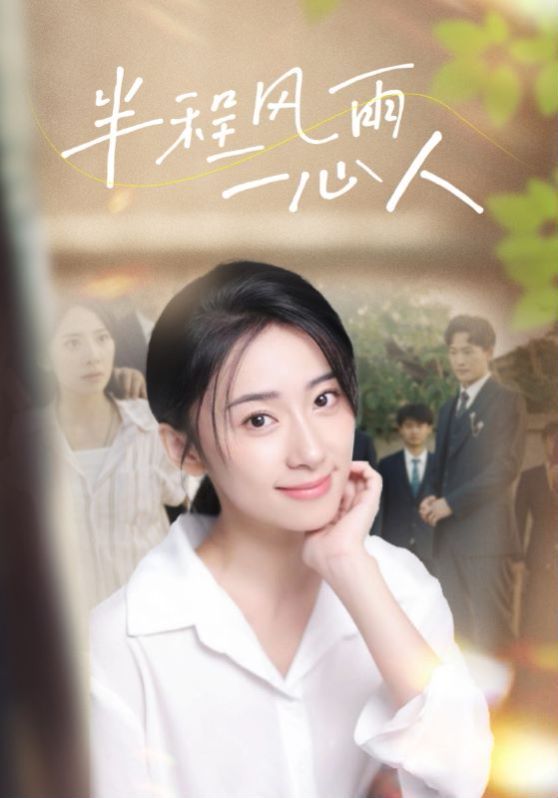 半程风雨一心人 第1-20集