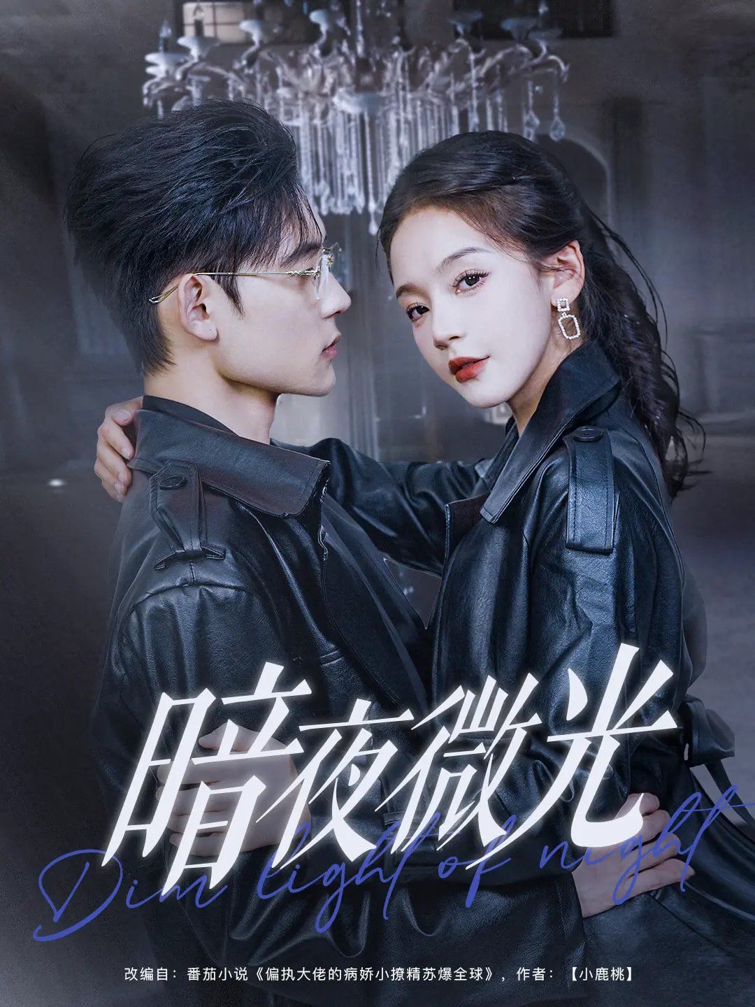 暗夜微光 第21-40集