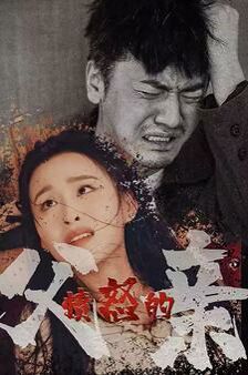 愤怒的父亲 第41-59集完结(大结局)