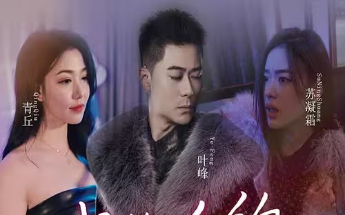 我的合约总裁未婚妻 第31-60集