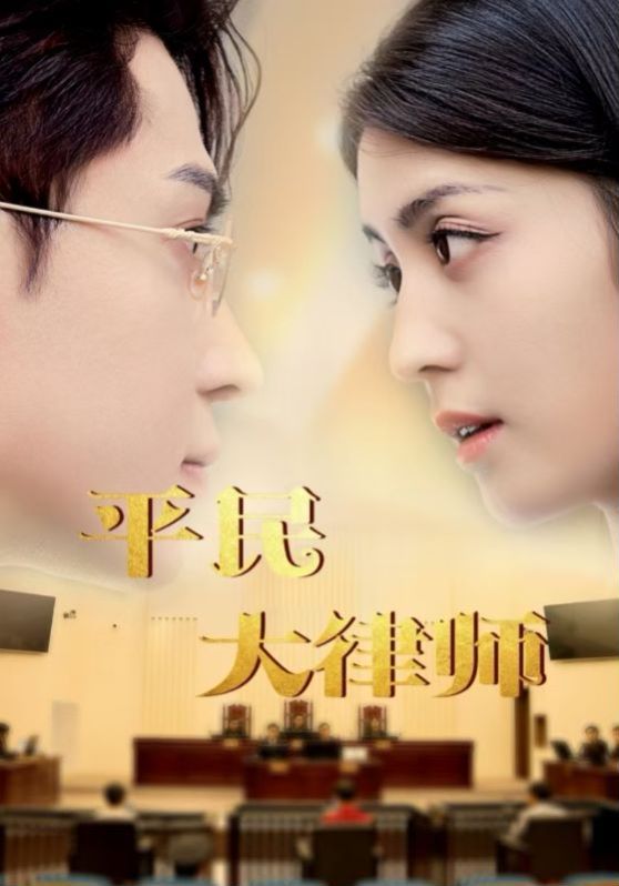 平民大律师 第61-80集