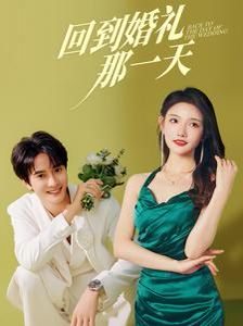 回到婚礼那一天 第21-40集