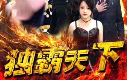 独霸天下 第21-40集