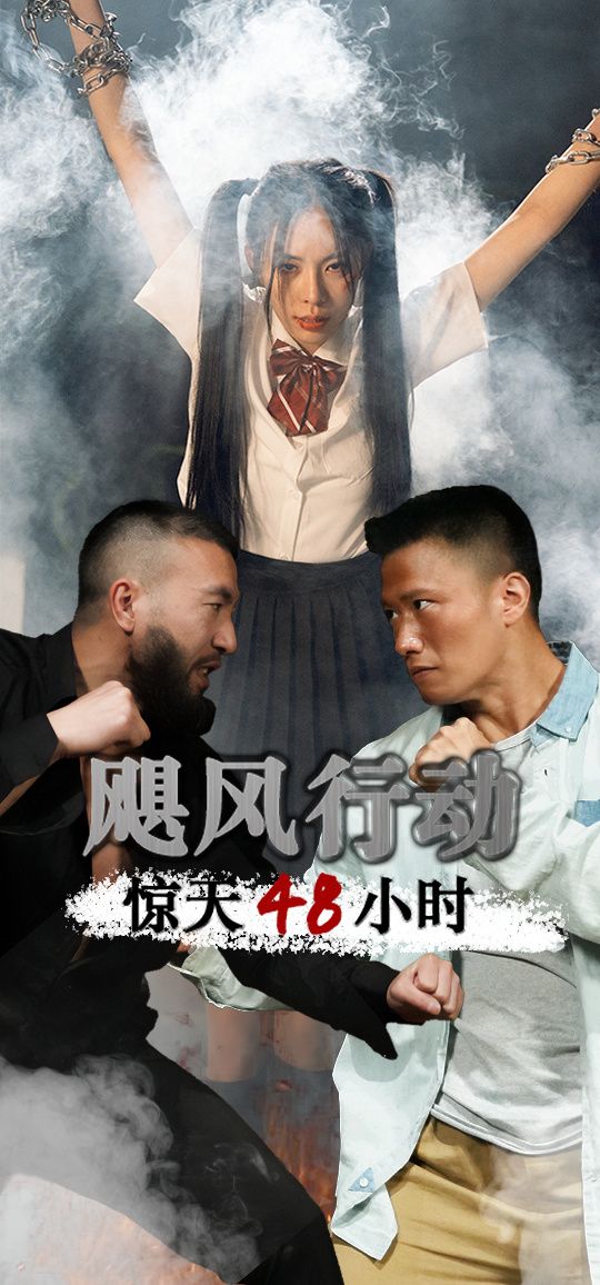 飓风营救惊天48小时 第21-40集