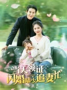 当天领证闪婚陆少追妻忙 第61-80集完结(大结局)