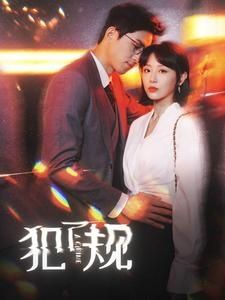 犯了规 第21-40集