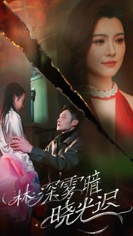 林深雾暗晓光迟 第21-40集