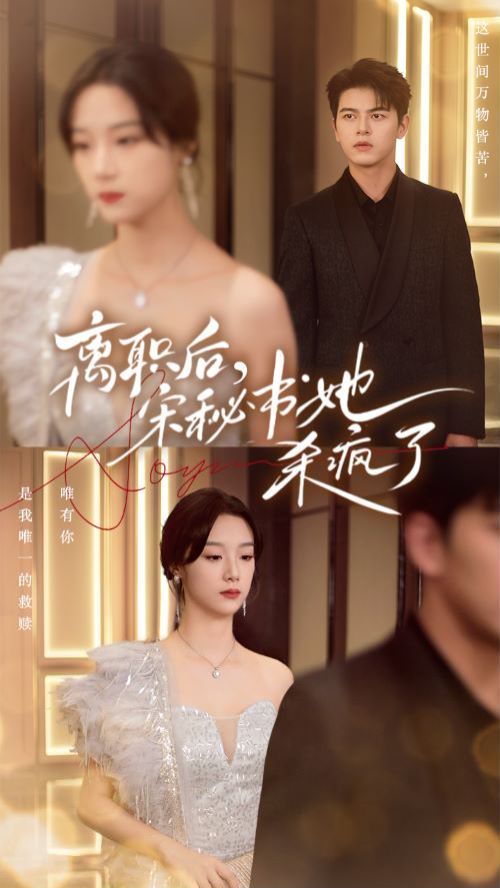 离职后，宋秘书她杀疯了 第04集