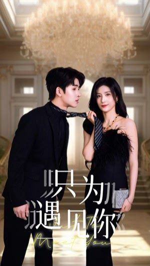 只为遇见你 第41-60集