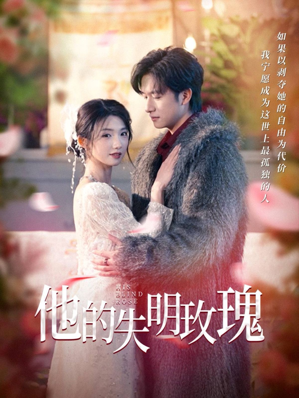 他的失明玫瑰 第1-20集