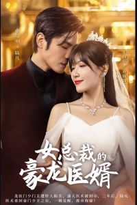 女总裁的豪龙医婿 第21-40集