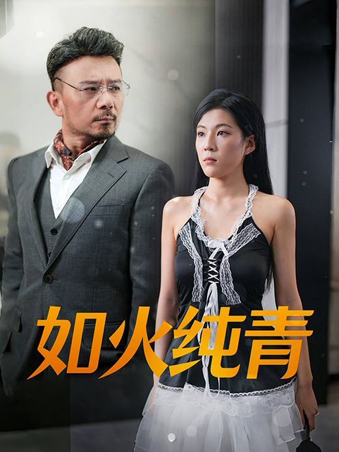 如火纯青 第33集