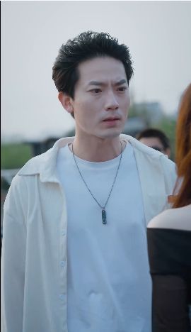 特种上门女婿 第21-40集