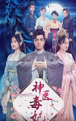 神医毒妃 第21-40集