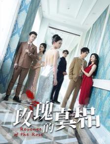 玫瑰的真相 第21-40集