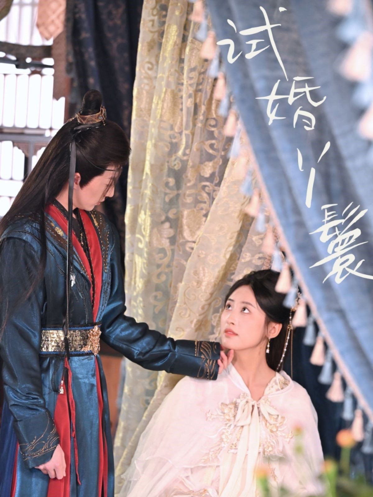 试婚丫鬟 第61-76集完结(大结局)