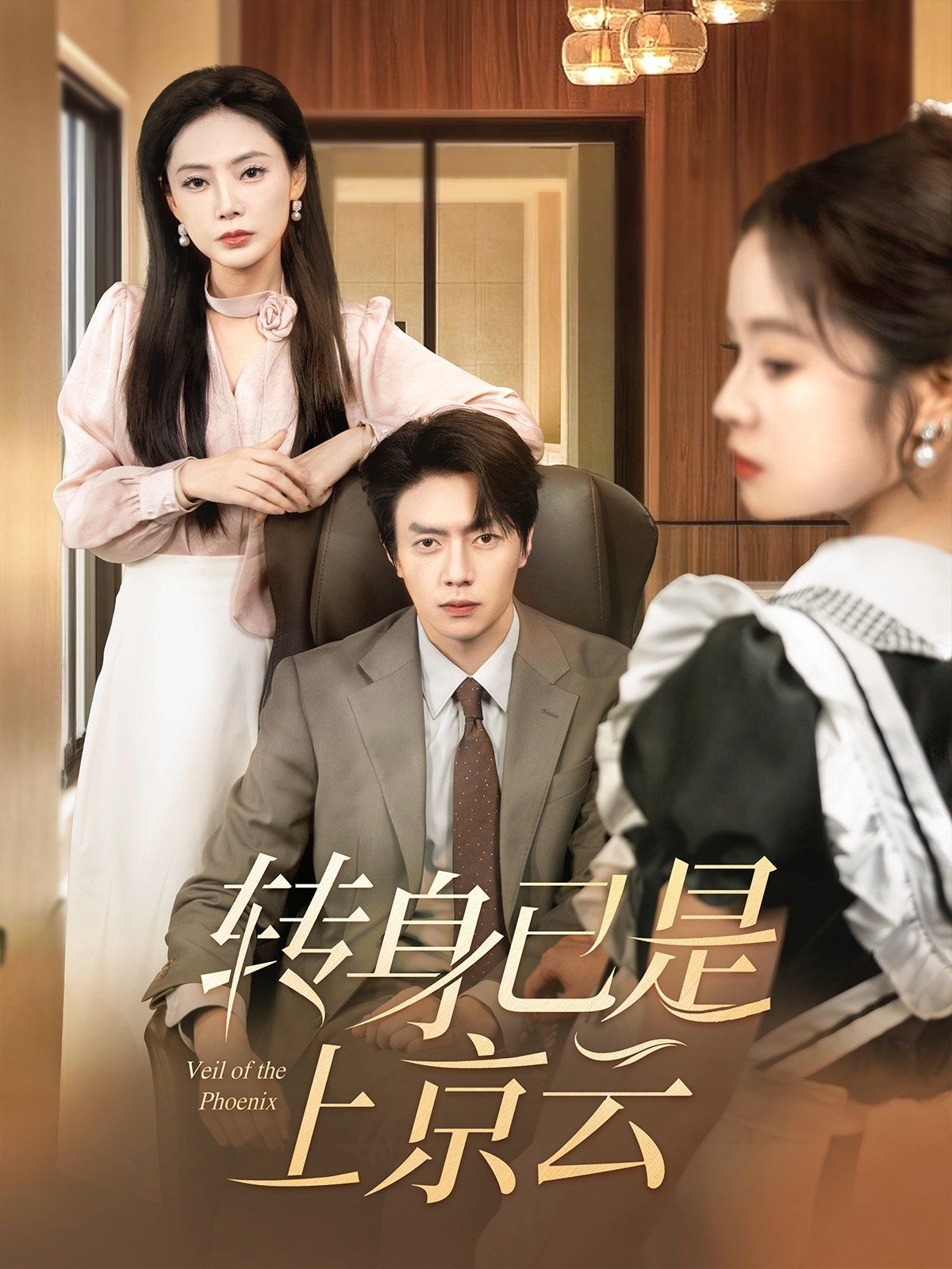 转身已是上京云 第21-40集