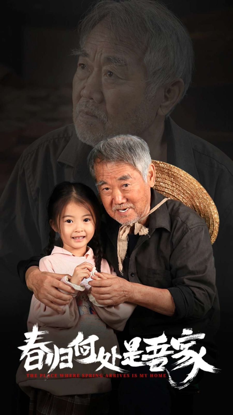 春归何处是吾家 第41-59集完结(大结局)