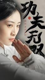 功夫无双 第21-40集