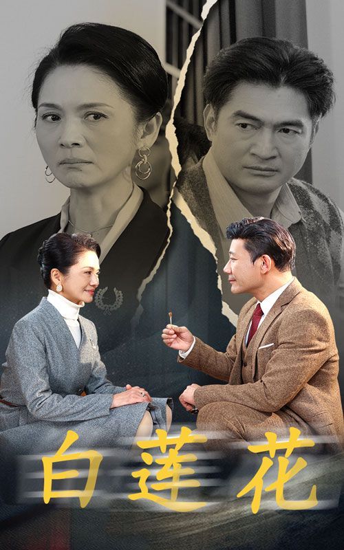 白莲花 第1-20集