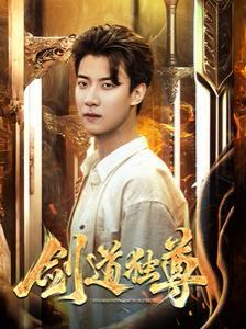 新剑道独尊 第21-40集