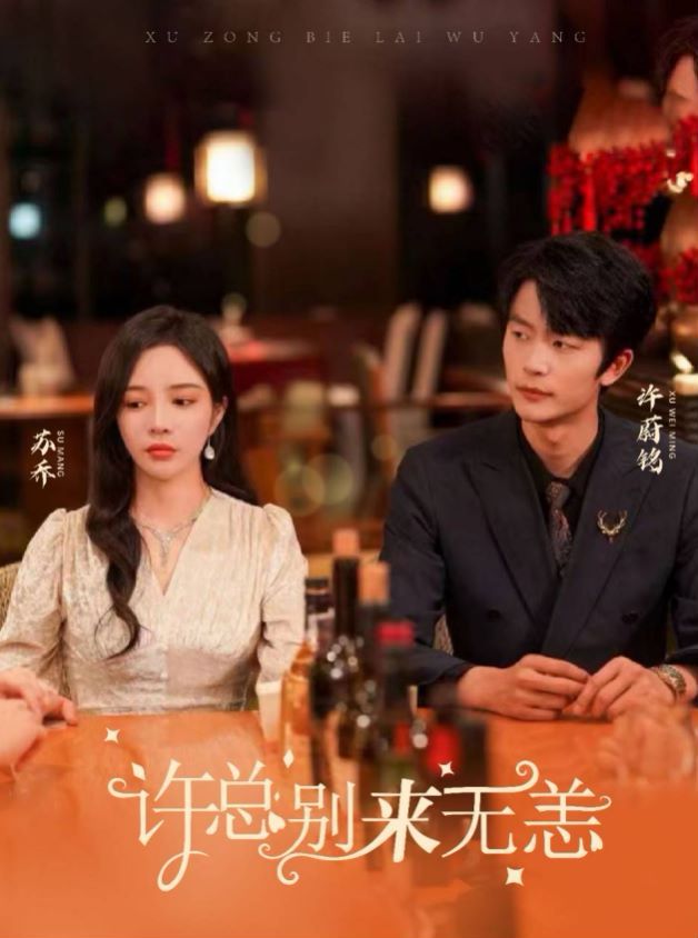 许总别来无恙 第21-40集