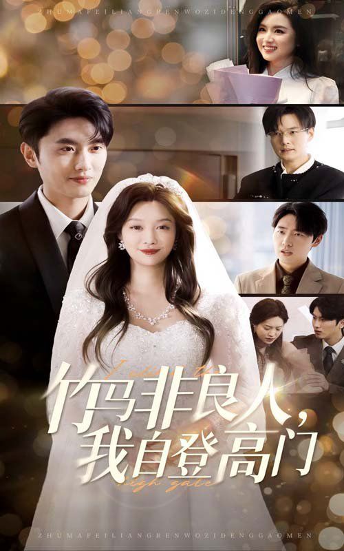竹马非良人，我自登高门 第20集