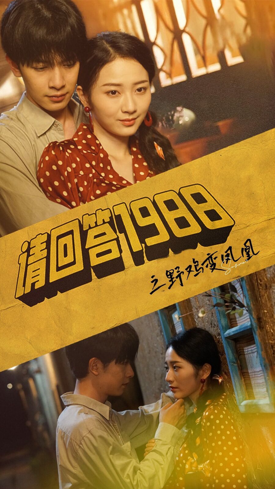 请回答1988之野鸡变凤凰 第02集