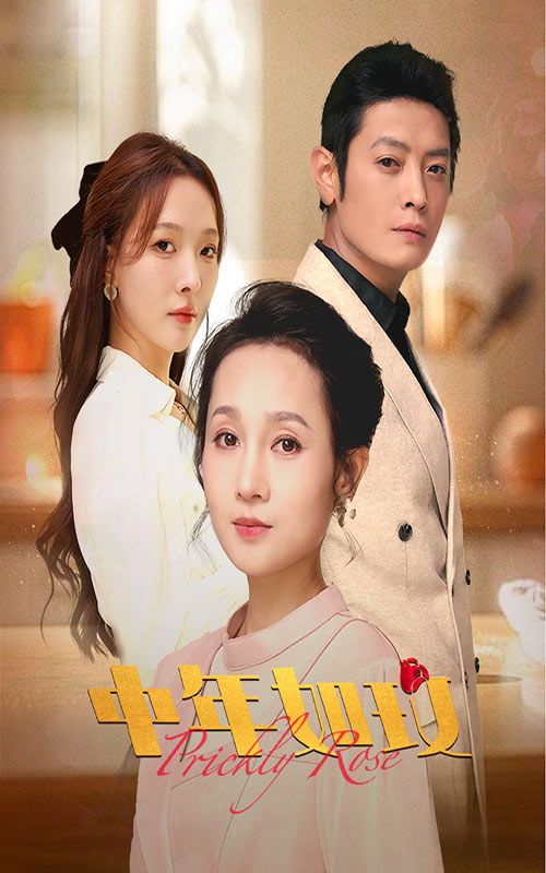 中年如玫 第21-40集