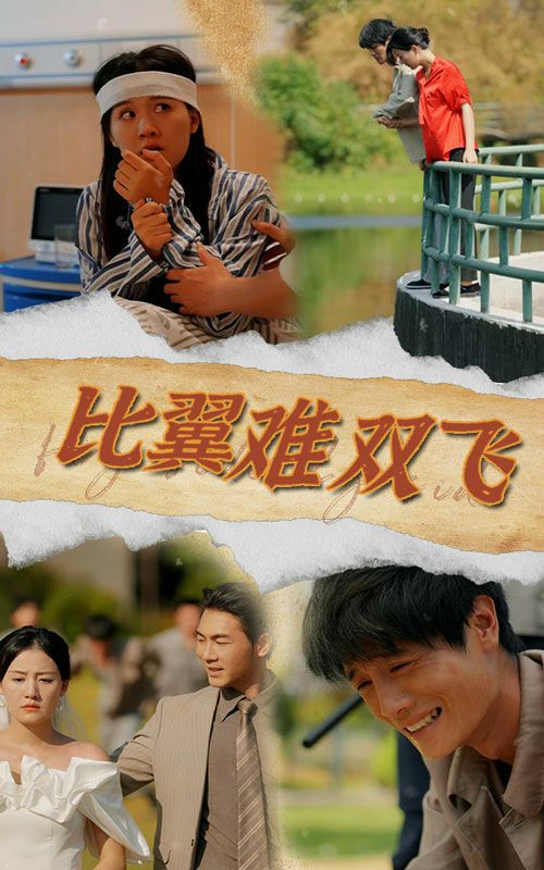 比翼难双飞 第02集