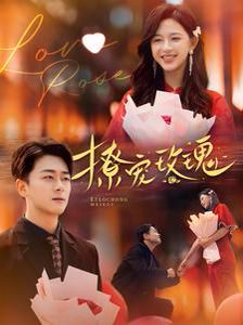 撩宠玫瑰 第21-40集