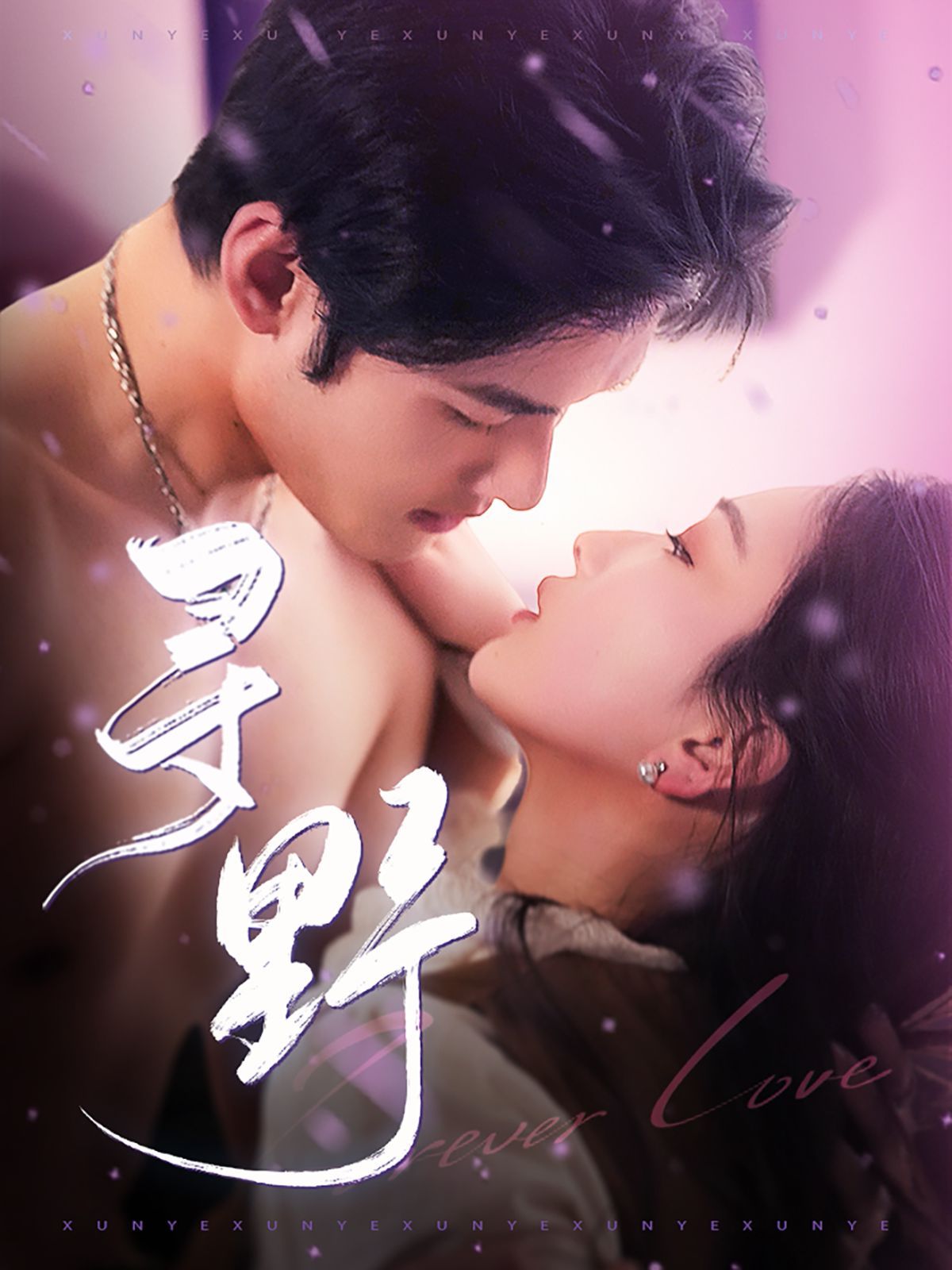 寻野 第61-100集完结(大结局)