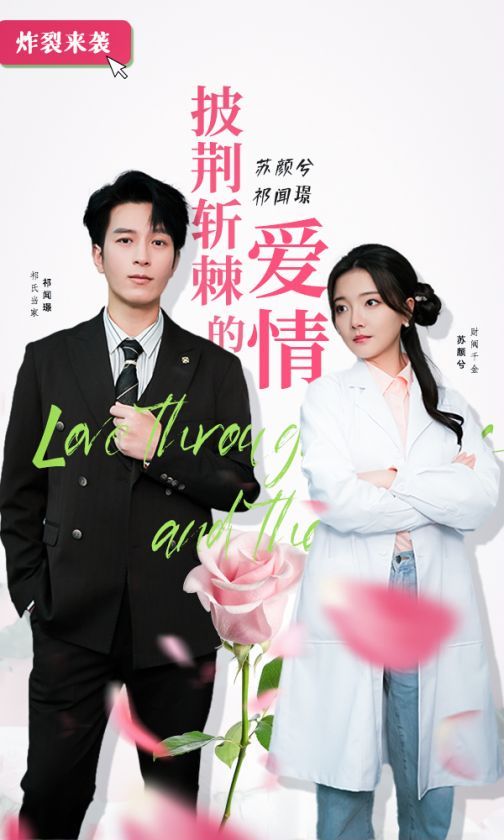 披荆斩棘的爱情 第21-40集