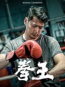 拳王 第21-40集
