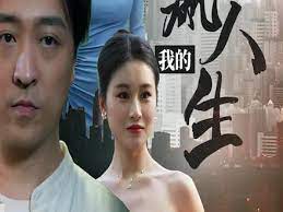 我的巅峰人生 第1-30集