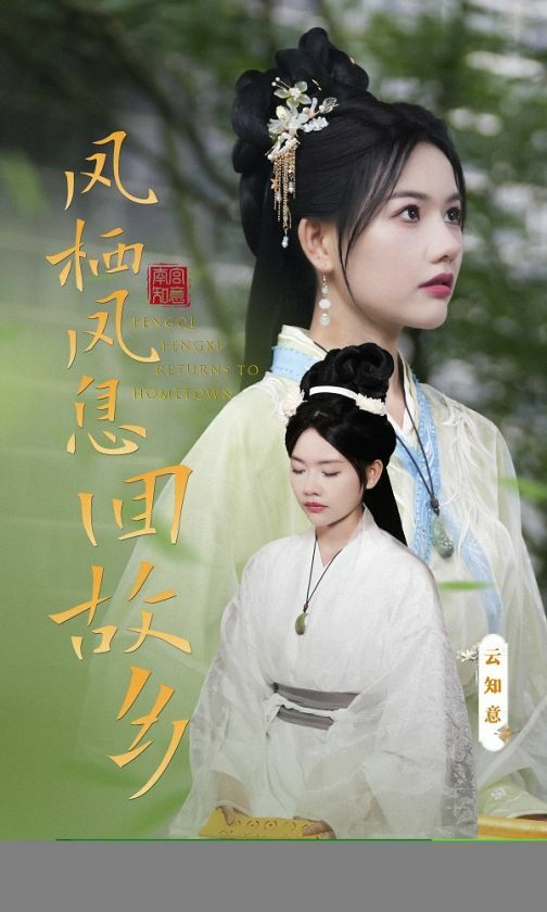凤栖凤息回故乡 第1-20集