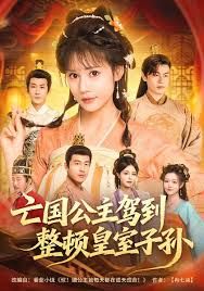 亡国公主驾到，整顿皇室子孙(全集)