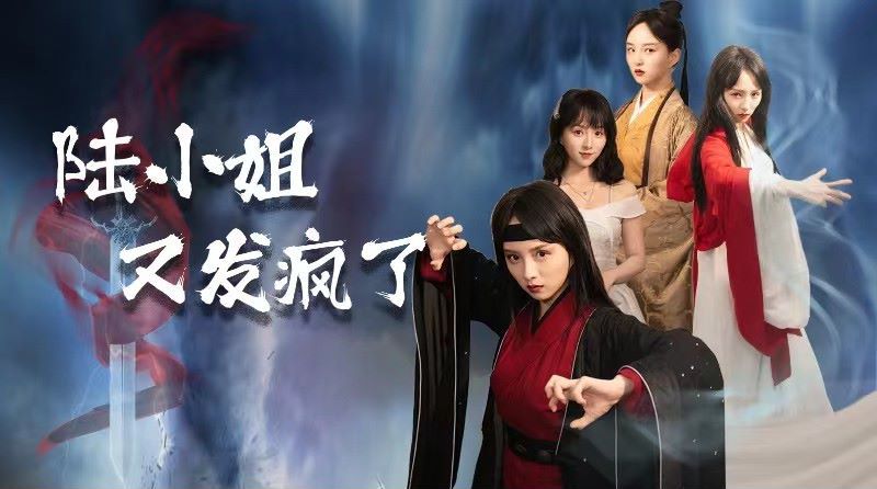 陆小姐又发疯了 第09集